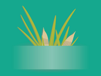 Similar image 2334696