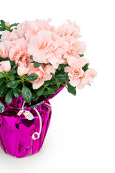 Similar image 2334702