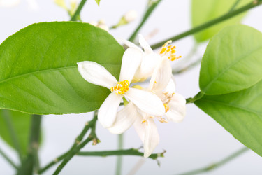 Similar image 2334712