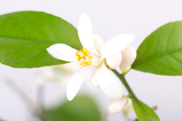 Similar image 2334718