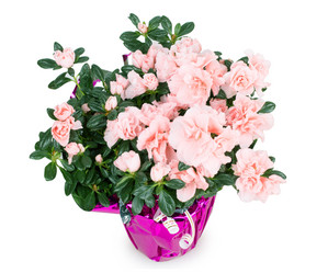 Similar image 2334719