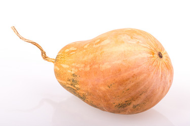 Similar image 2334725