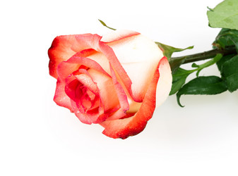 Similar image 2334726