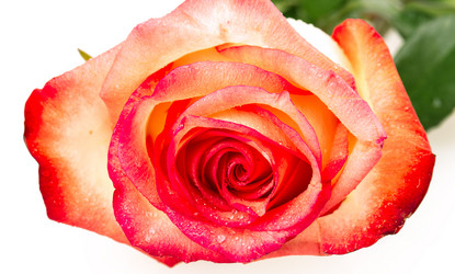 Similar image 2334728