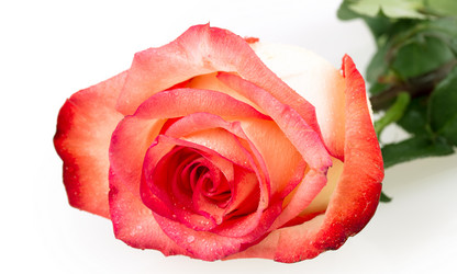 Similar image 2334729