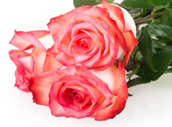 Similar image 2334735