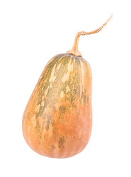 Similar image 2334736