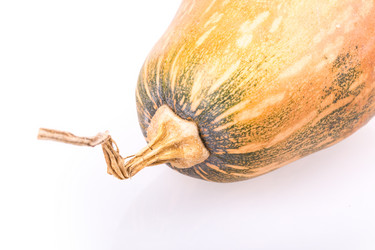 Similar image 2334737