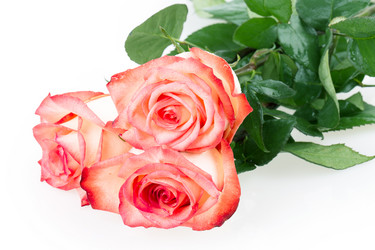 Similar image 2334738