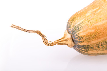 Similar image 2334741