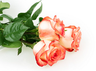 Similar image 2334742