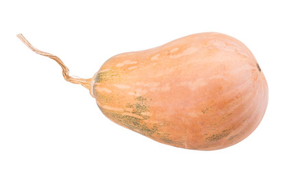 Similar image 2334743