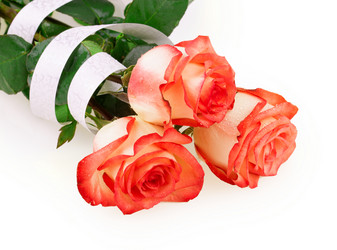 Similar image 2334748