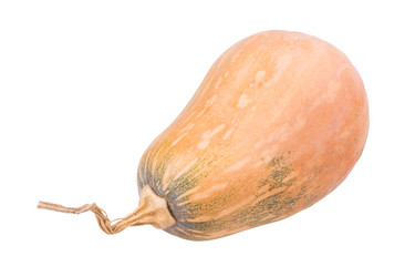 Similar image 2334749