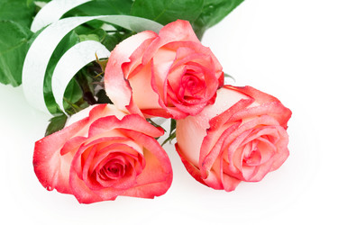 Similar image 2334750