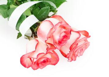 Similar image 2334753