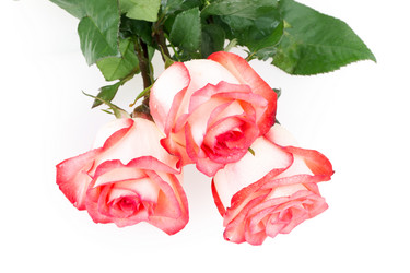 Similar image 2334756