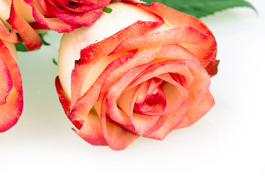 Similar image 2334758