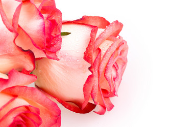 Similar image 2334761