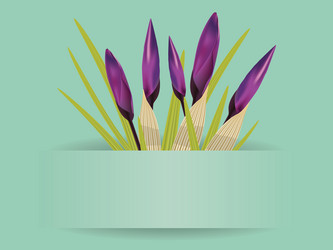 Similar image 2334829