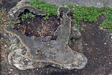 Similar image 2334858