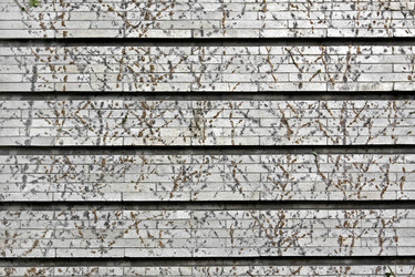 Similar image 2334898