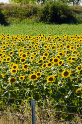 Similar image 2335167