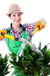 Similar image 2335717