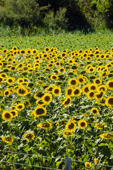 Similar image 2336014