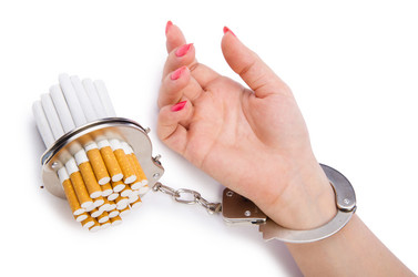 Similar image 2336084