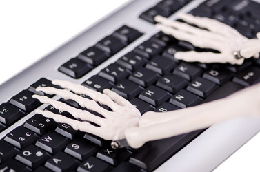 Similar image 2336260