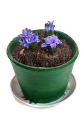 Similar image 2336301