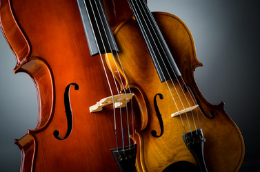 Similar image 2336412