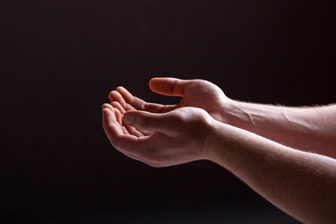 Similar image 2336478