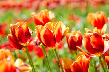 Similar image 2336645