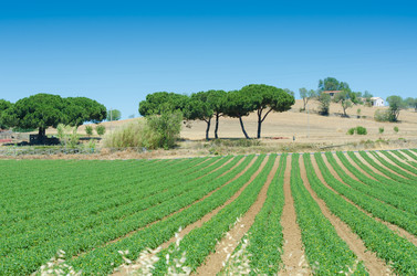 Similar image 2336872