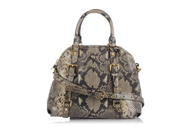 Similar image 2337053