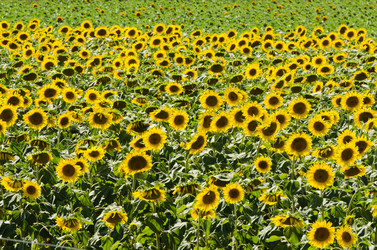 Similar image 2337122