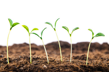 Similar image 2337140