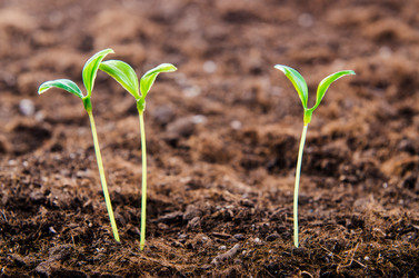 Similar image 2337141