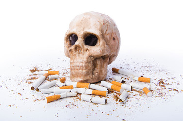 Similar image 2337169