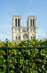 Similar image 2337410