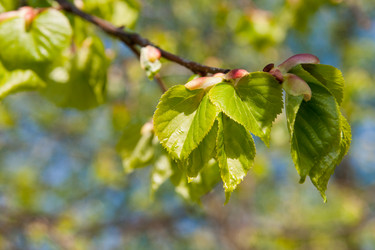 Similar image 2337485