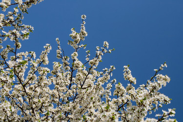 Similar image 2337486