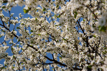 Similar image 2337487