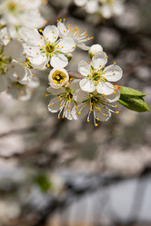 Similar image 2337489