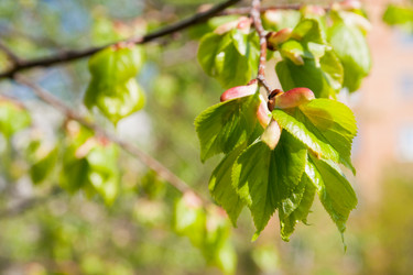 Similar image 2337495