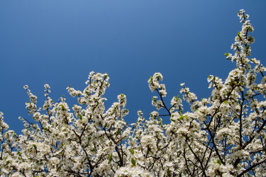 Similar image 2337505