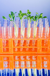 Similar image 2337680