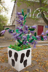 Similar image 2337823